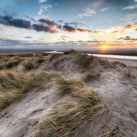 Penthouse In Near And Lippenslaan شقة